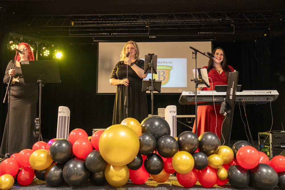 Ples DDM 2026 (1015).jpg