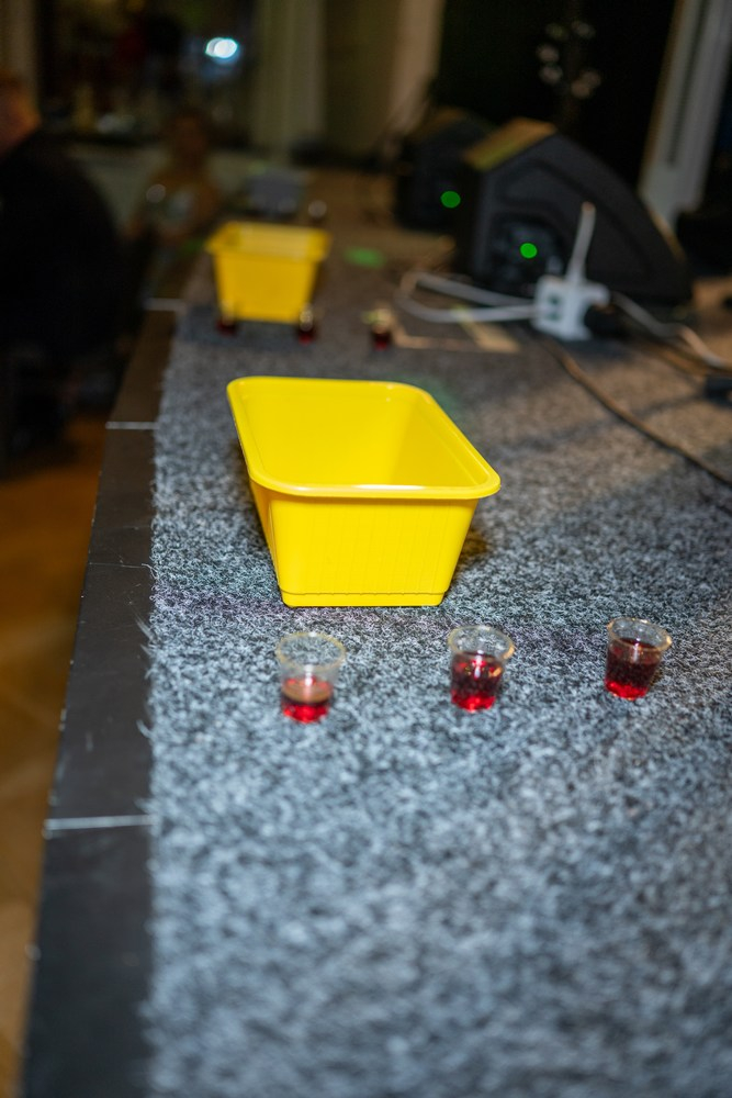 Ples DDM 2026 (1112).jpg