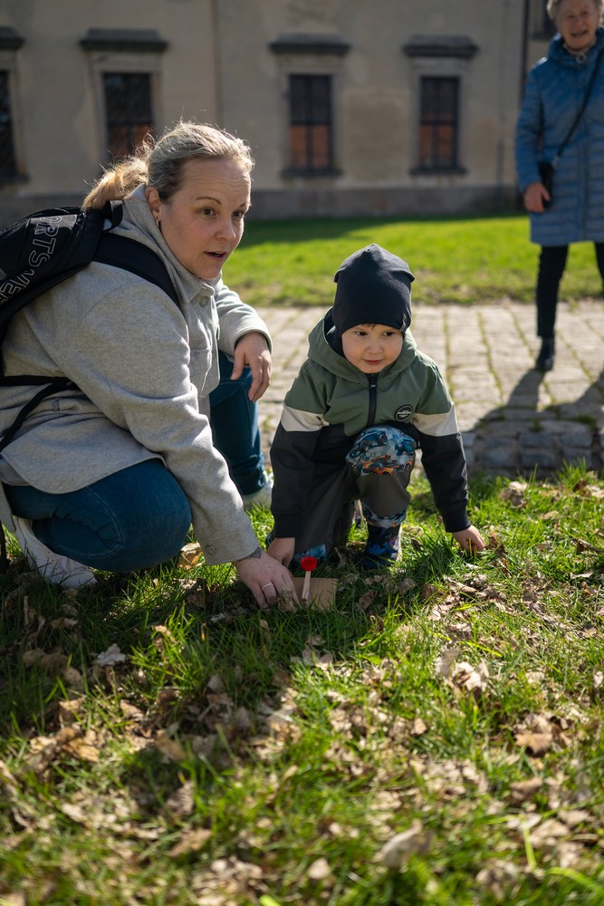 mini-DSC_4354.jpg