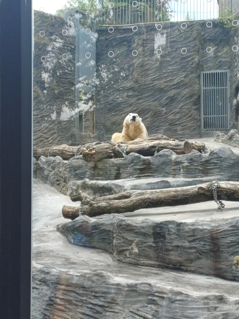 ZOO Praha - KH (130).jpeg
