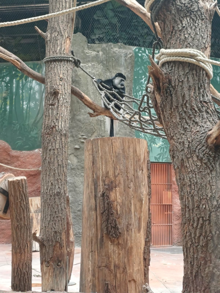 ZOO Praha - KH (131).jpeg