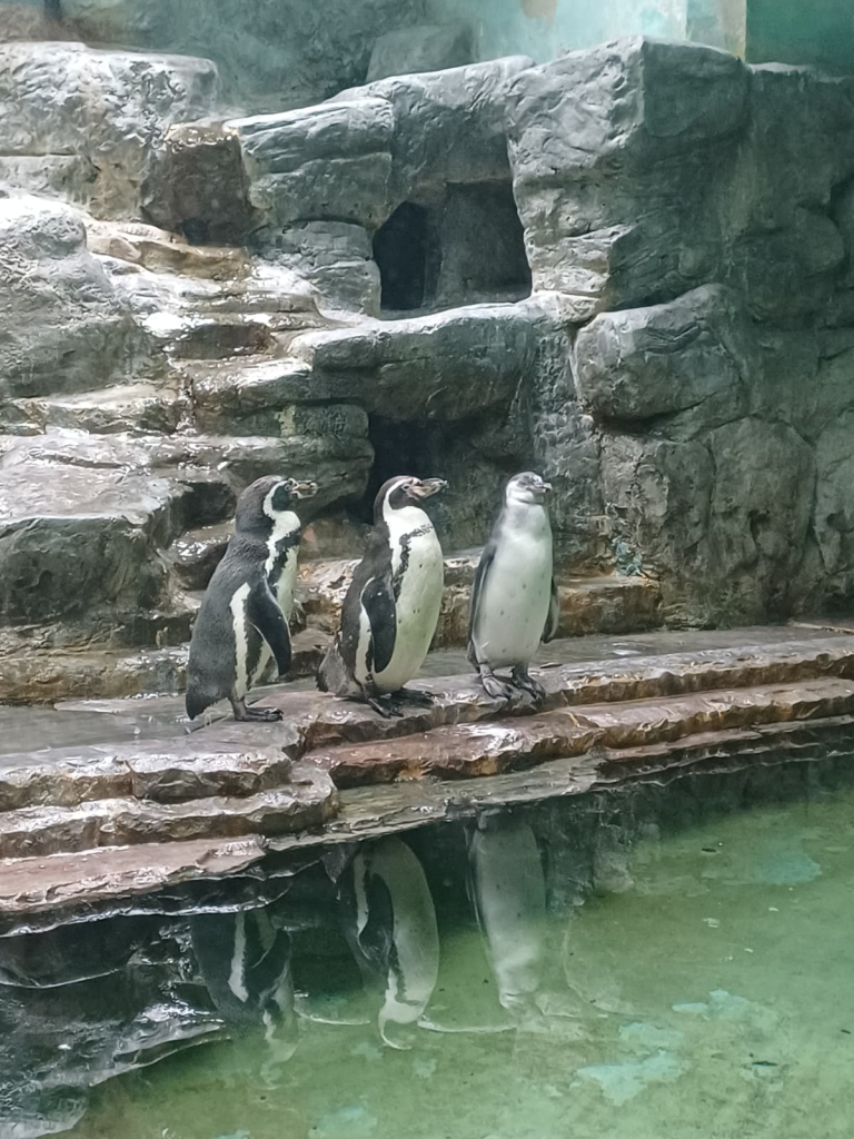 ZOO Praha - KH (148).jpeg