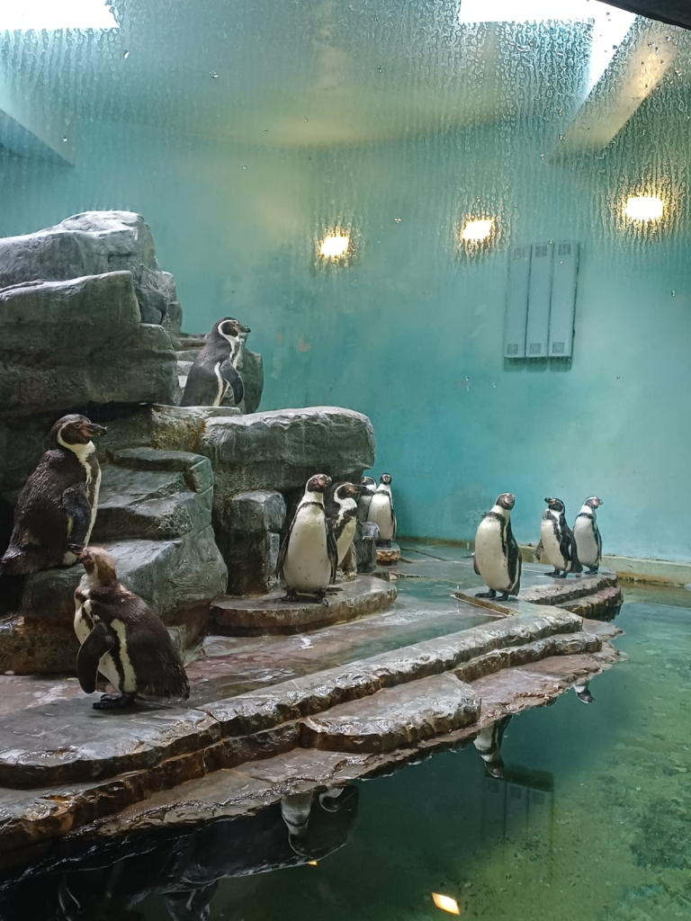 ZOO Praha - KH (151).jpeg